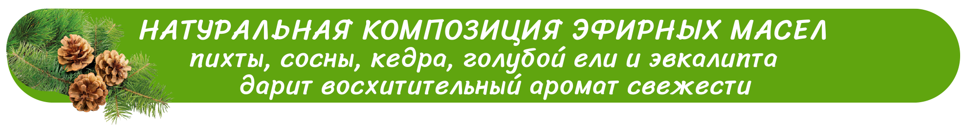 пихта