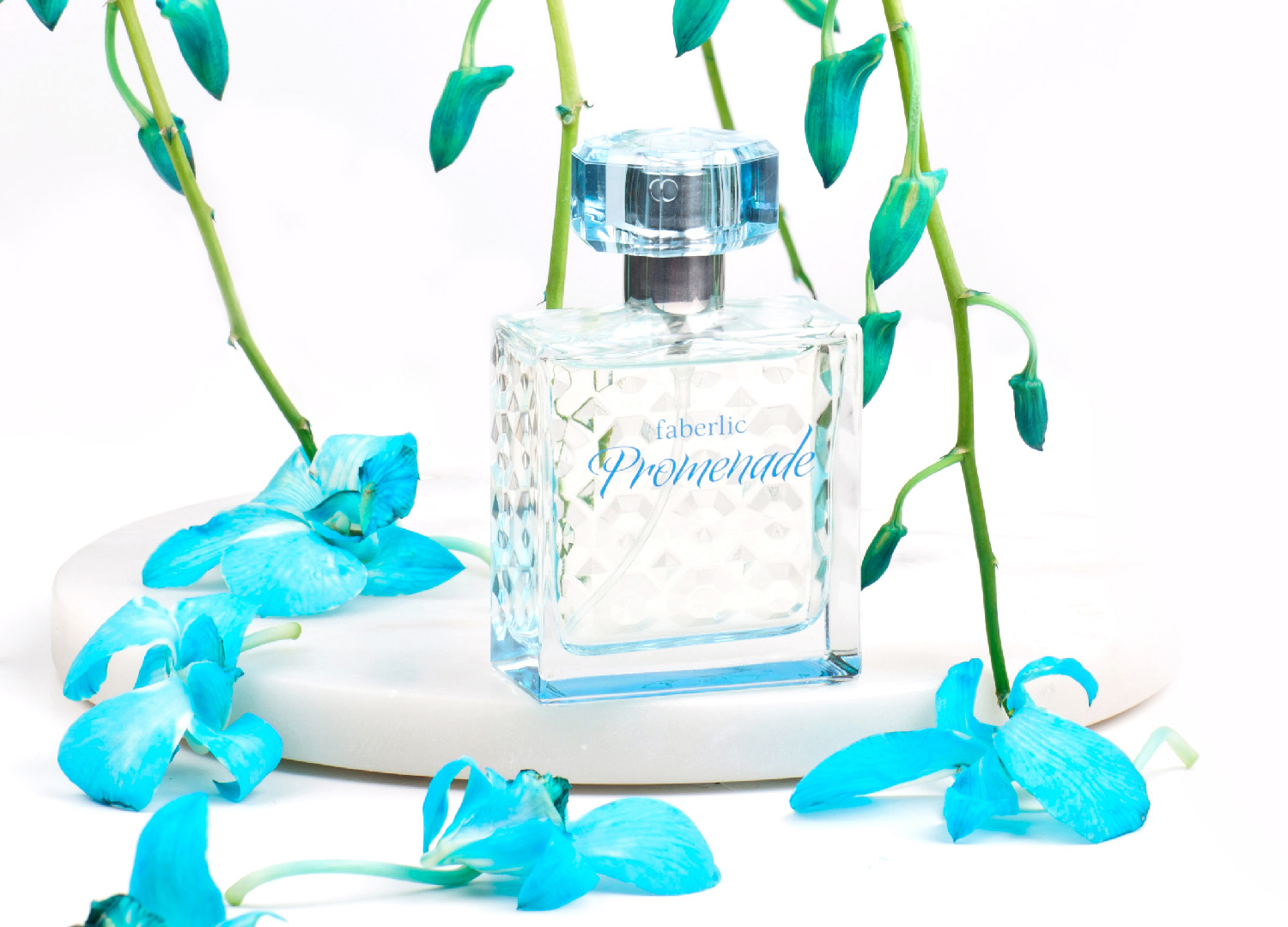 TRANQ Perfumes - Scent of Happiness