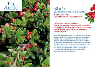 Bio-Arctic-prez16s