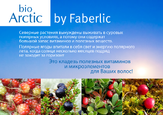 Bio-Arctic-prez4s