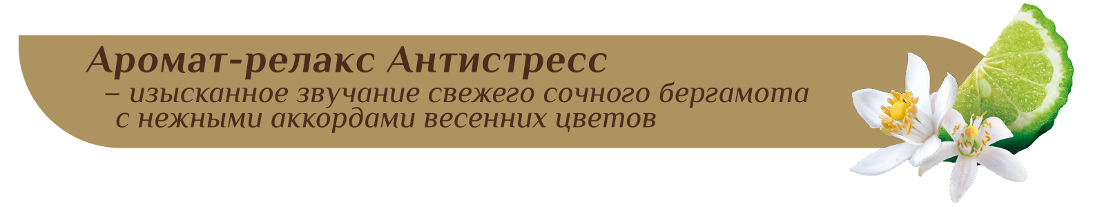 30333 ароматы